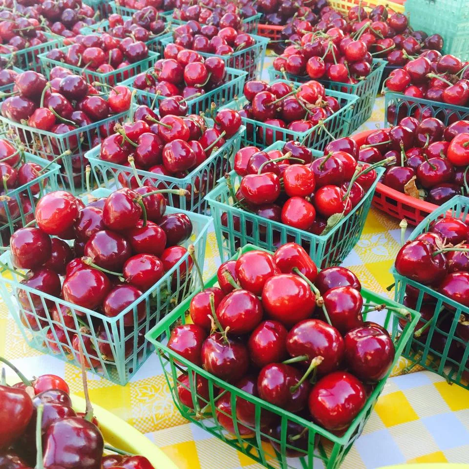 cherries.jpg