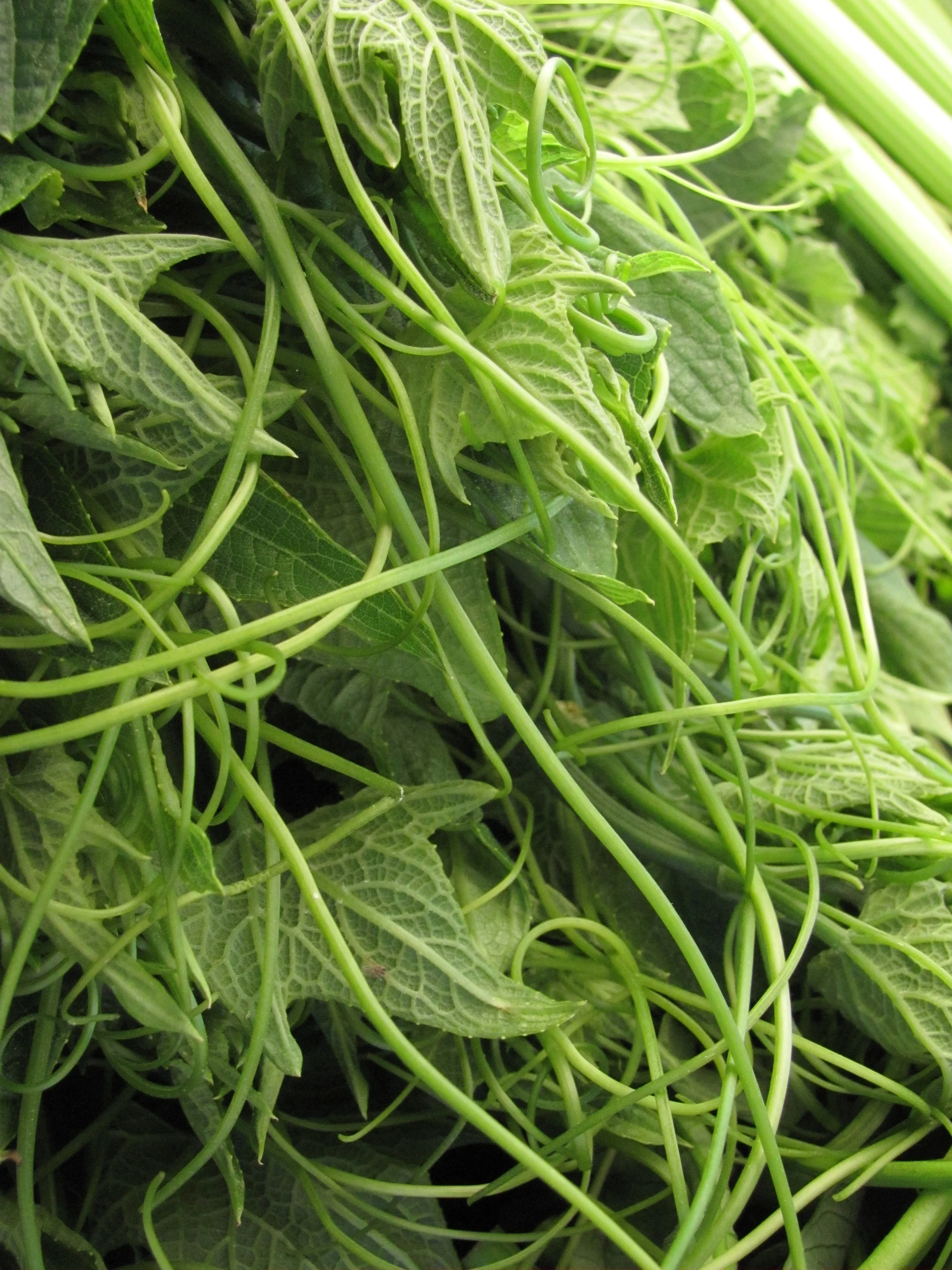 Cooking Demonstration with Chef Steve Cortez at Daly City Farmers' Market 