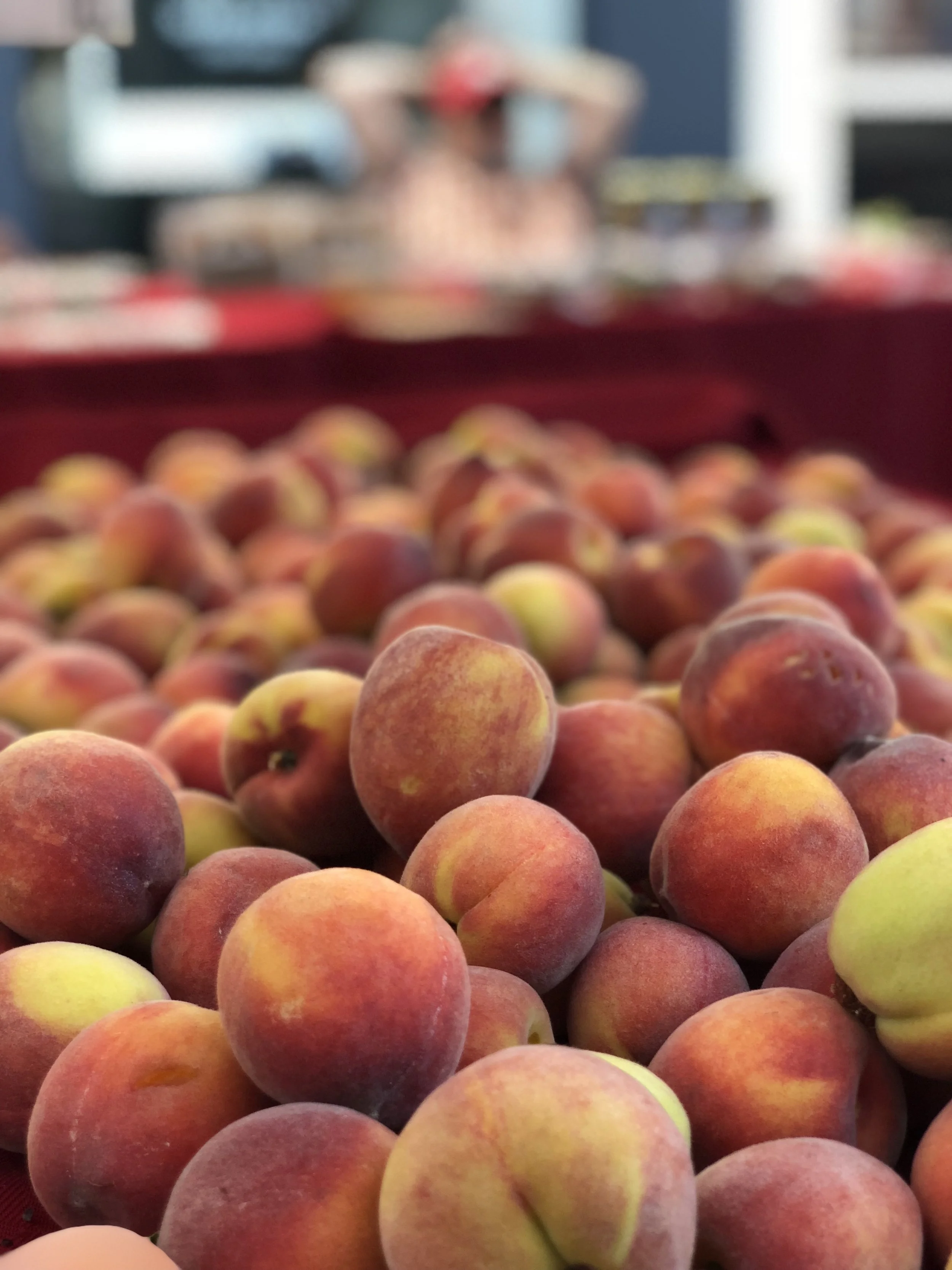 Cooking Demo @ Crocker Galleria Farmers' Market with Chef Laura Stec 