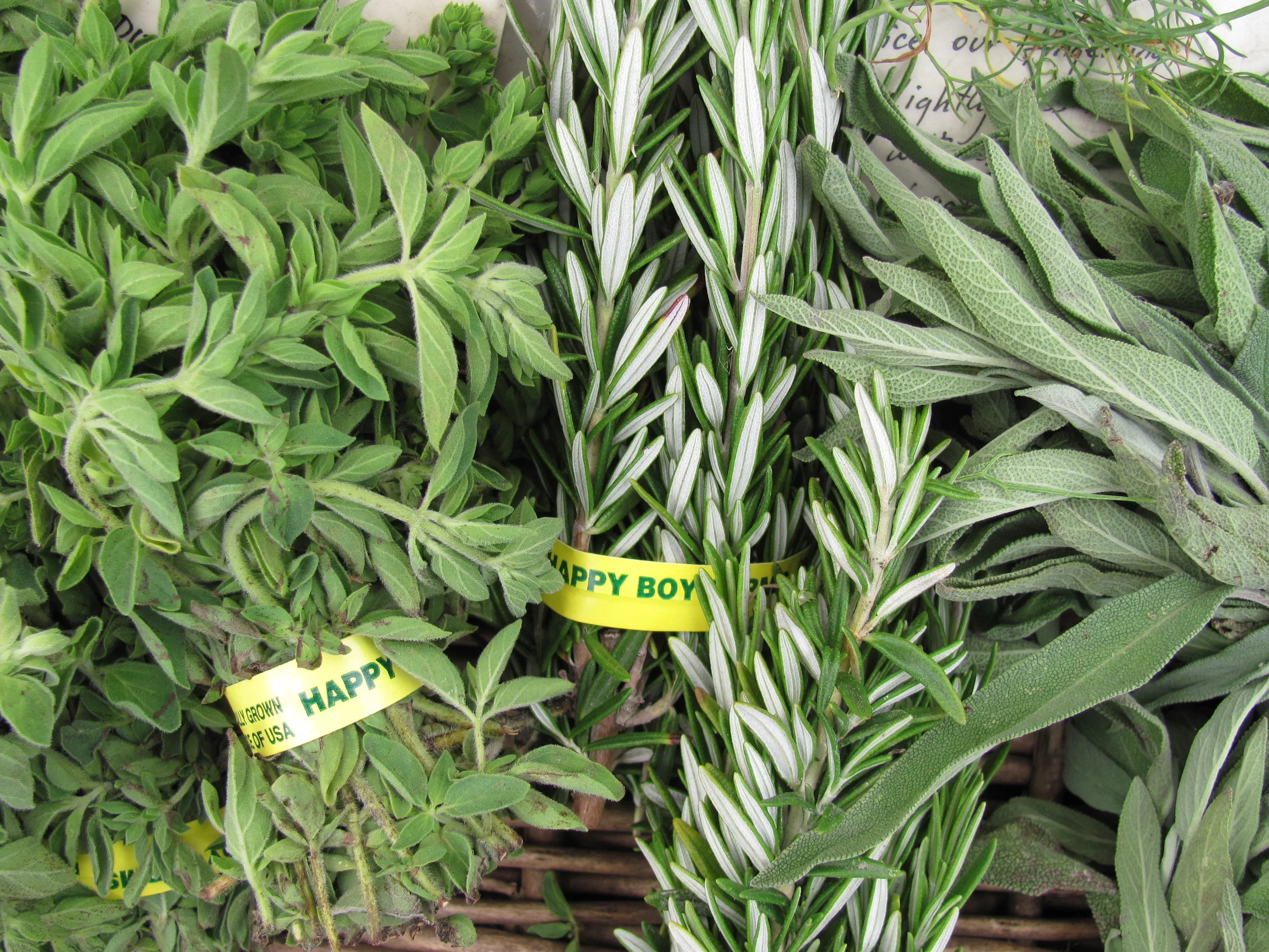 Cooking Demonstration @ Fort Mason Center Farmers' Market with Chef Laura Stec