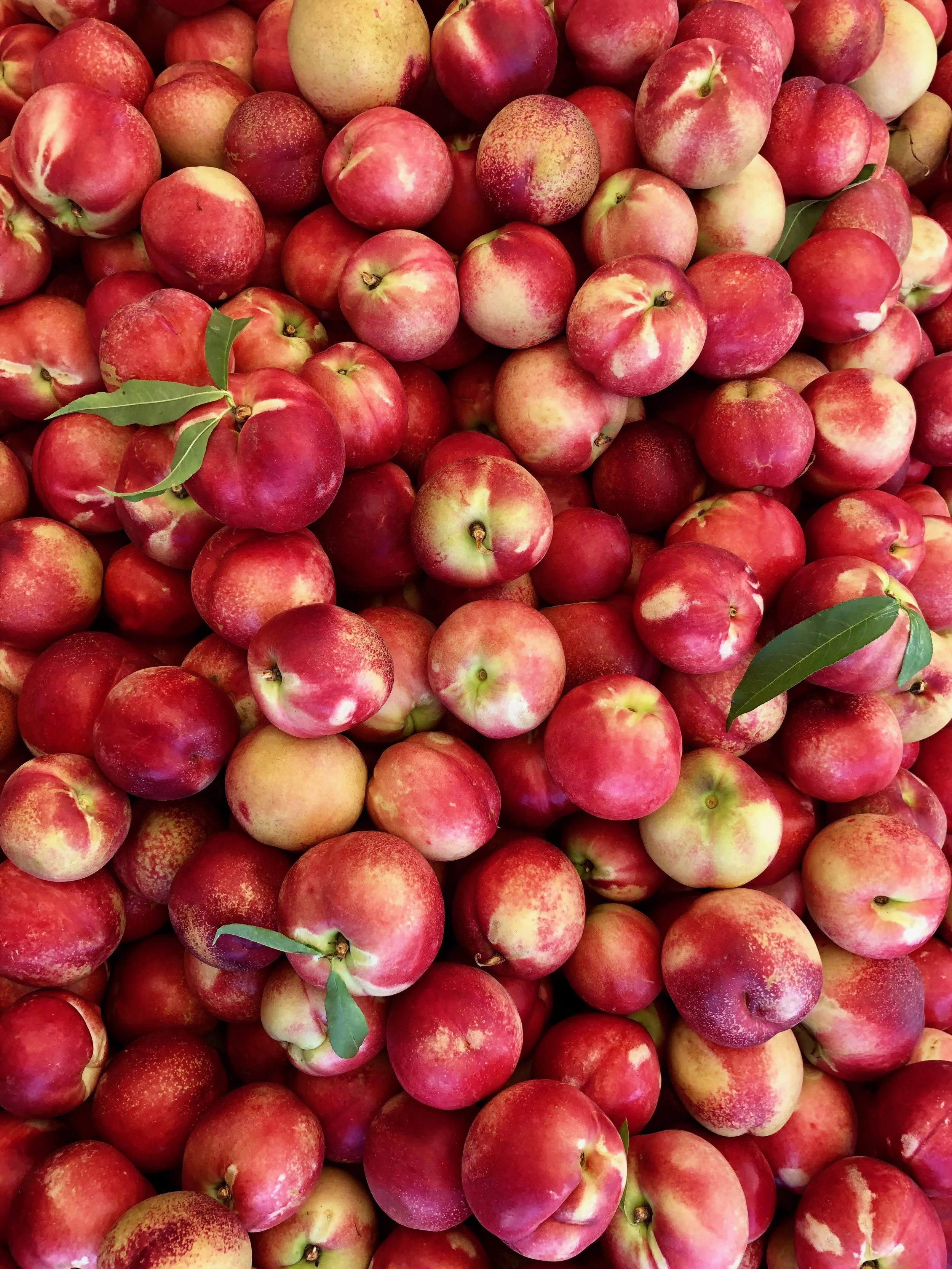 Cooking Demonstration at Moraga Farmers' Market 