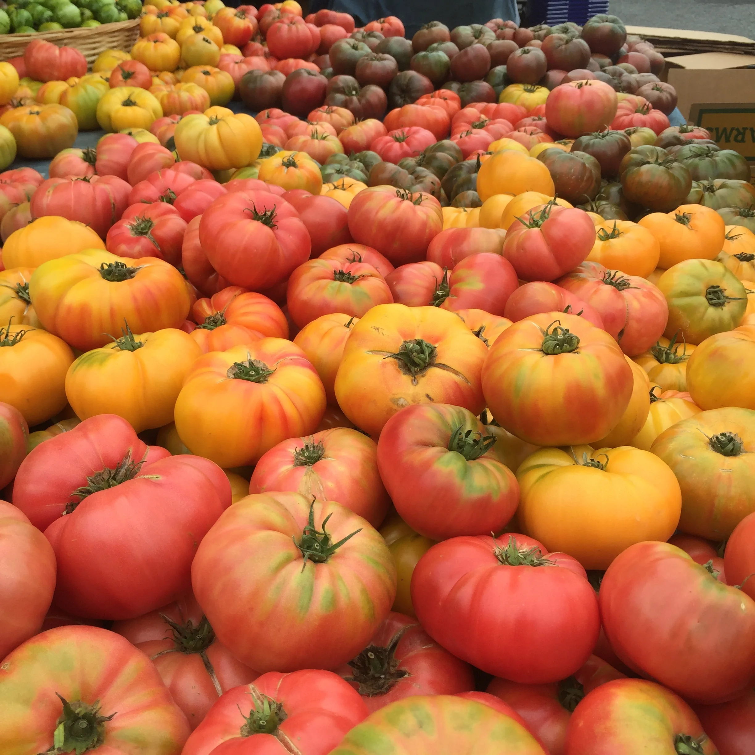 Cooking Class at Diablo Valley Farmers' Market 