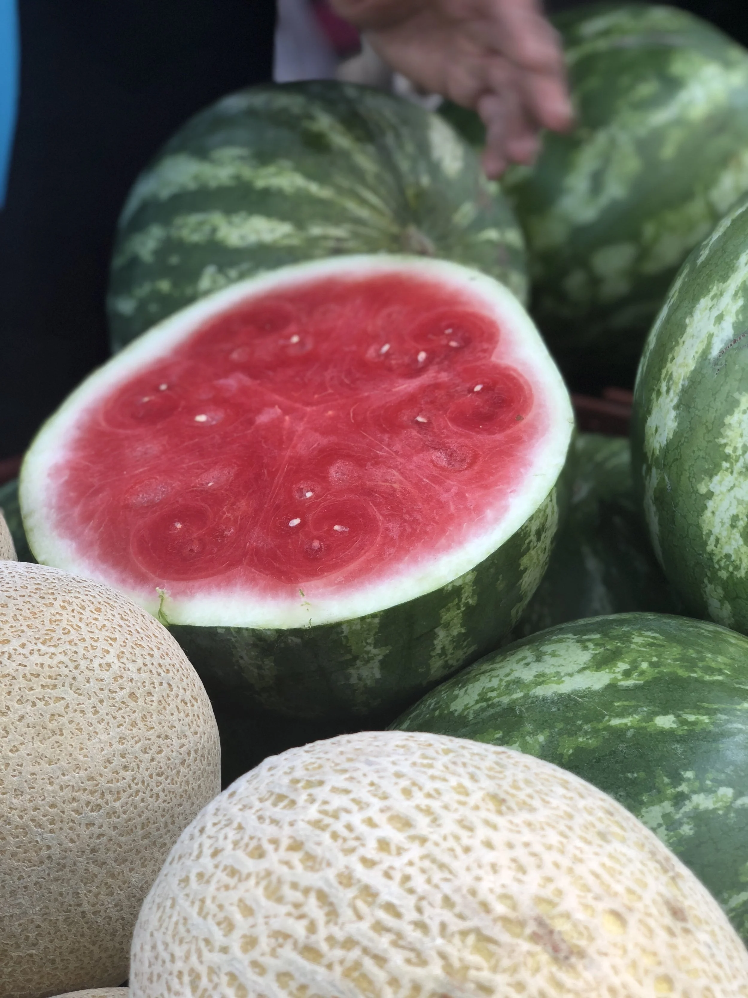 Fruit Carver at Daly City Farmers' Market