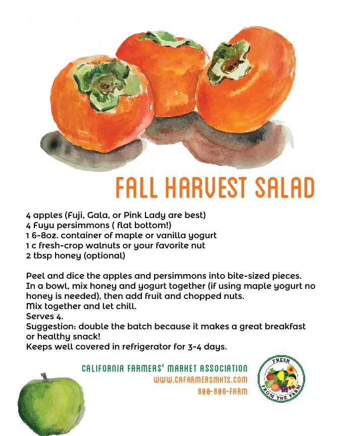 fall harvest salad-fuyu-01.jpg