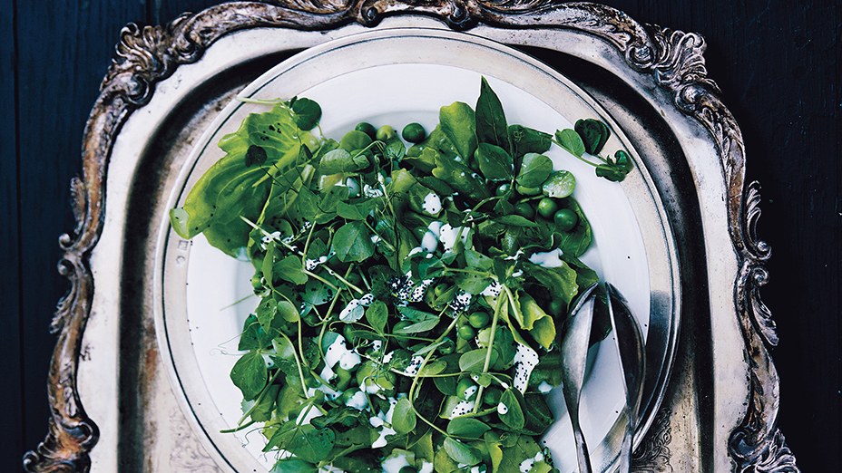 fava-bean-and-pea-salad-with-poppy-seed-dressing.jpg