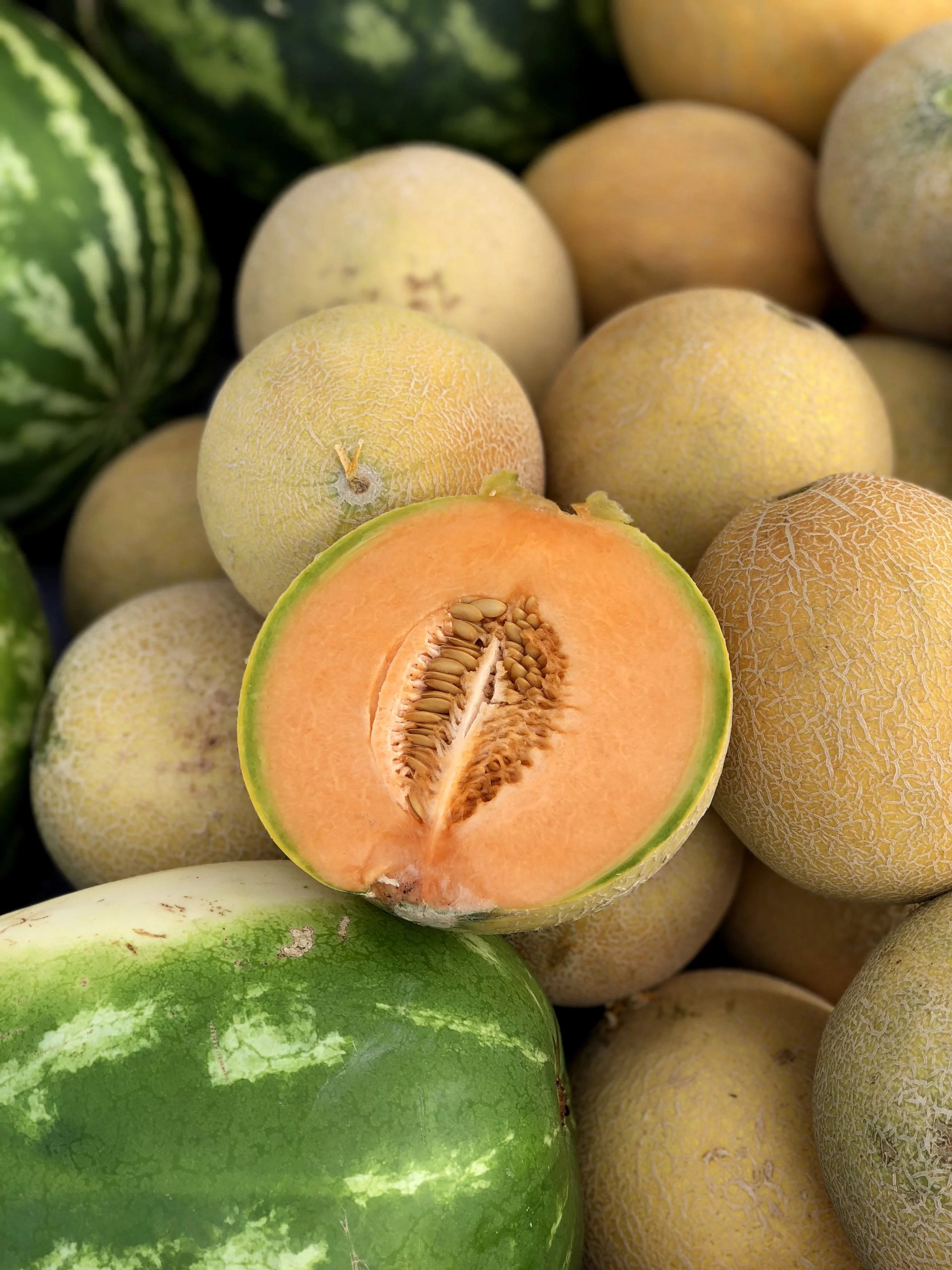 melon cantaloupe.jpg