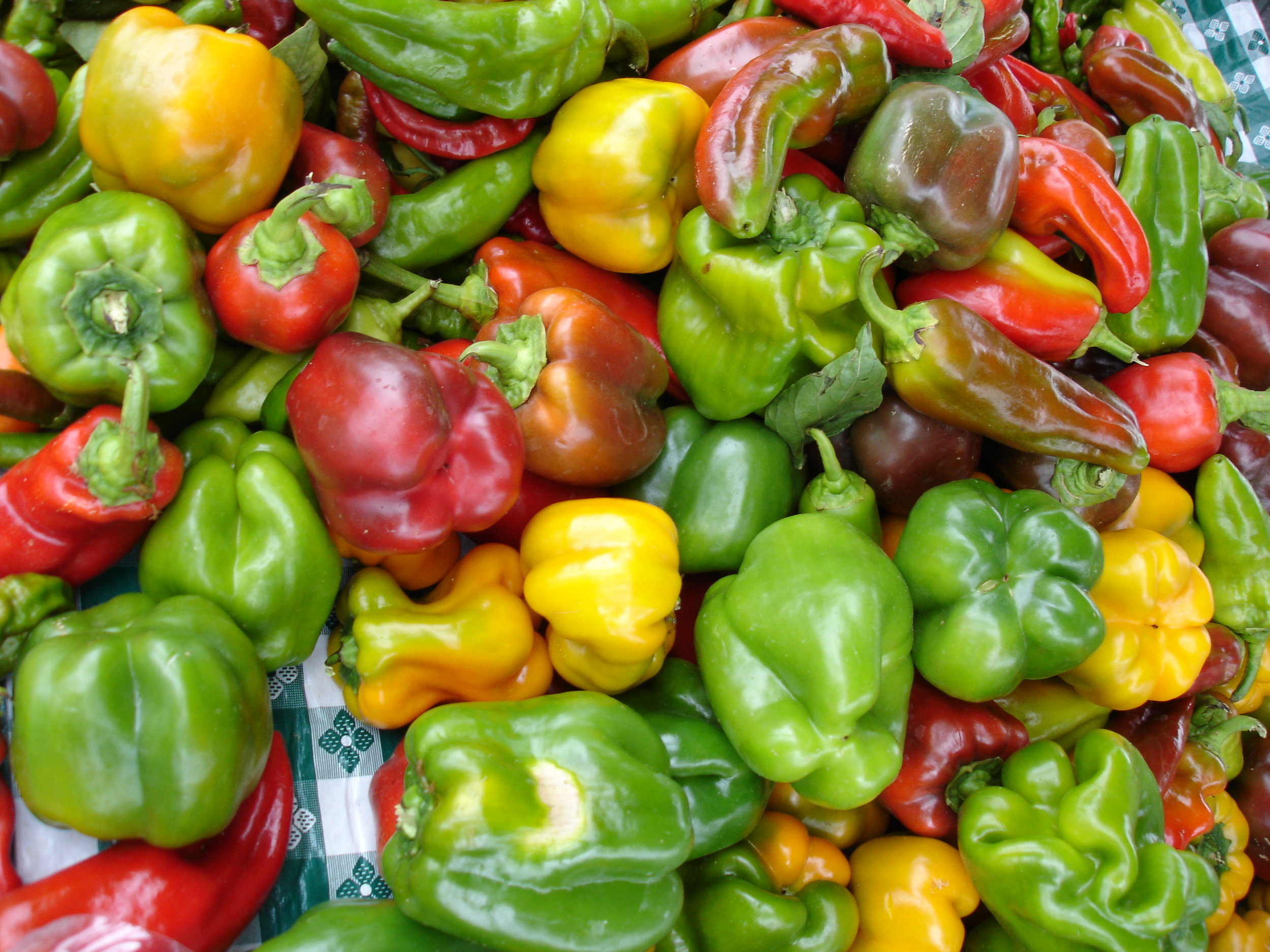 peppers 5.jpg