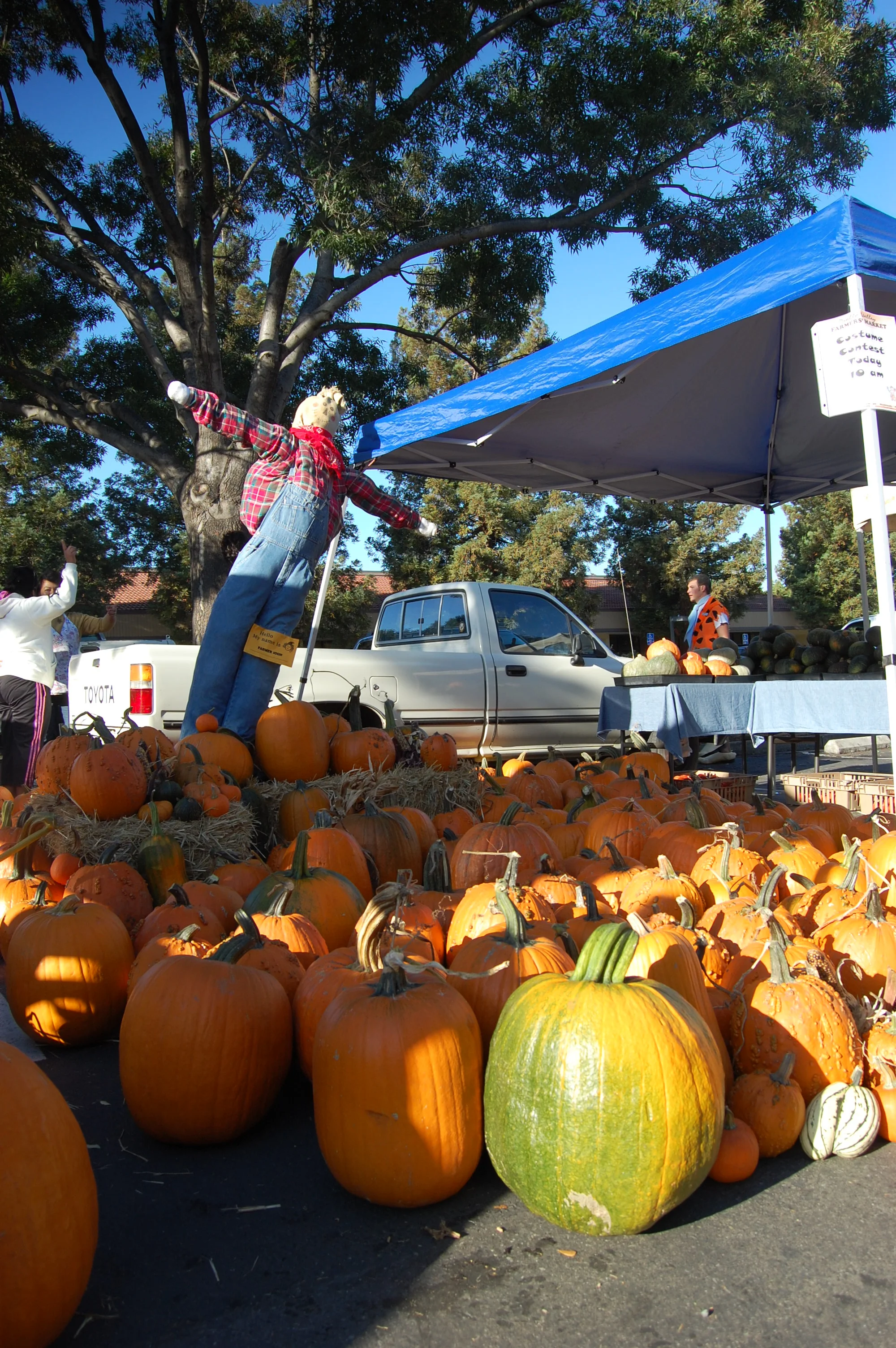 Los Gatos Harvest Festival