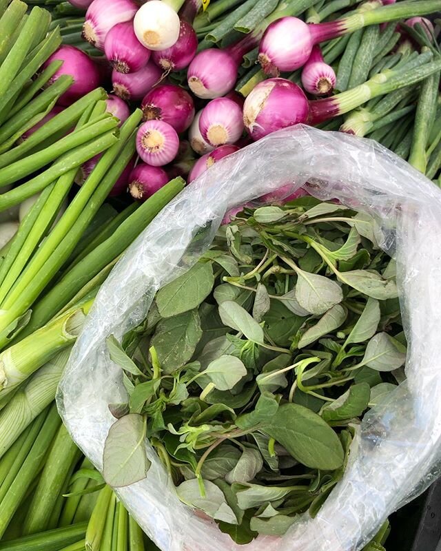 The fleeting spring season provides a perfect opportunity to try unique crops like lamb&rsquo;s quarters and sweet spring onions! Replace your usual spinach and onions with these special treats from @happyboyfarms 🐑🌱
