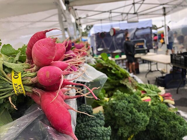 🚨Market Update: The Wednesday Pop Up Market will continue through the month of June! Find your same favorite vendors in the same place and same time

8:30am-9:30am: Senior &amp; High Risk Shopping Hour
9:30am-1:30pm: Regular Shopping Hours