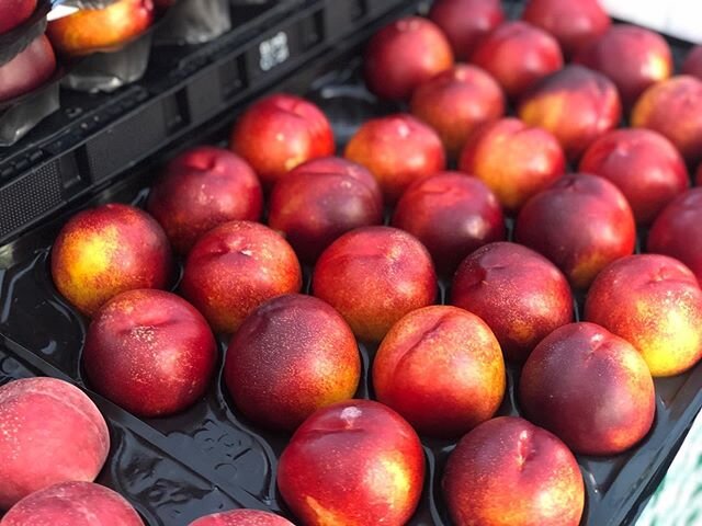 Happy market day, Santana Row! Enjoy bountiful peaches, berries, fresh lettuces, tomatoes and more, all fresh picked for you! Every Wednesday 4pm to 8pm 🤗🍓🥬🍑🥕🍒🍅