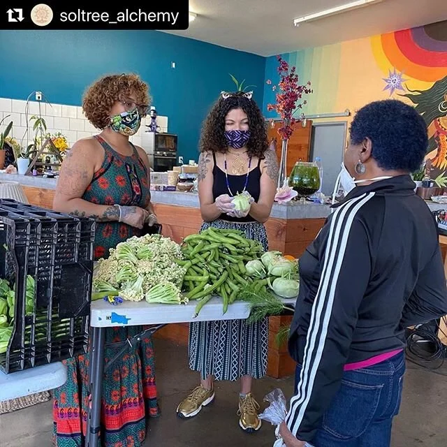 Food is love ❤️ Food is connection! Our generous farmers are proud to share their bounty with local communities looking for more fresh food options. Thank you @soltree_alchemy for expanding our food community!
#Repost @soltree_alchemy with @make_rep