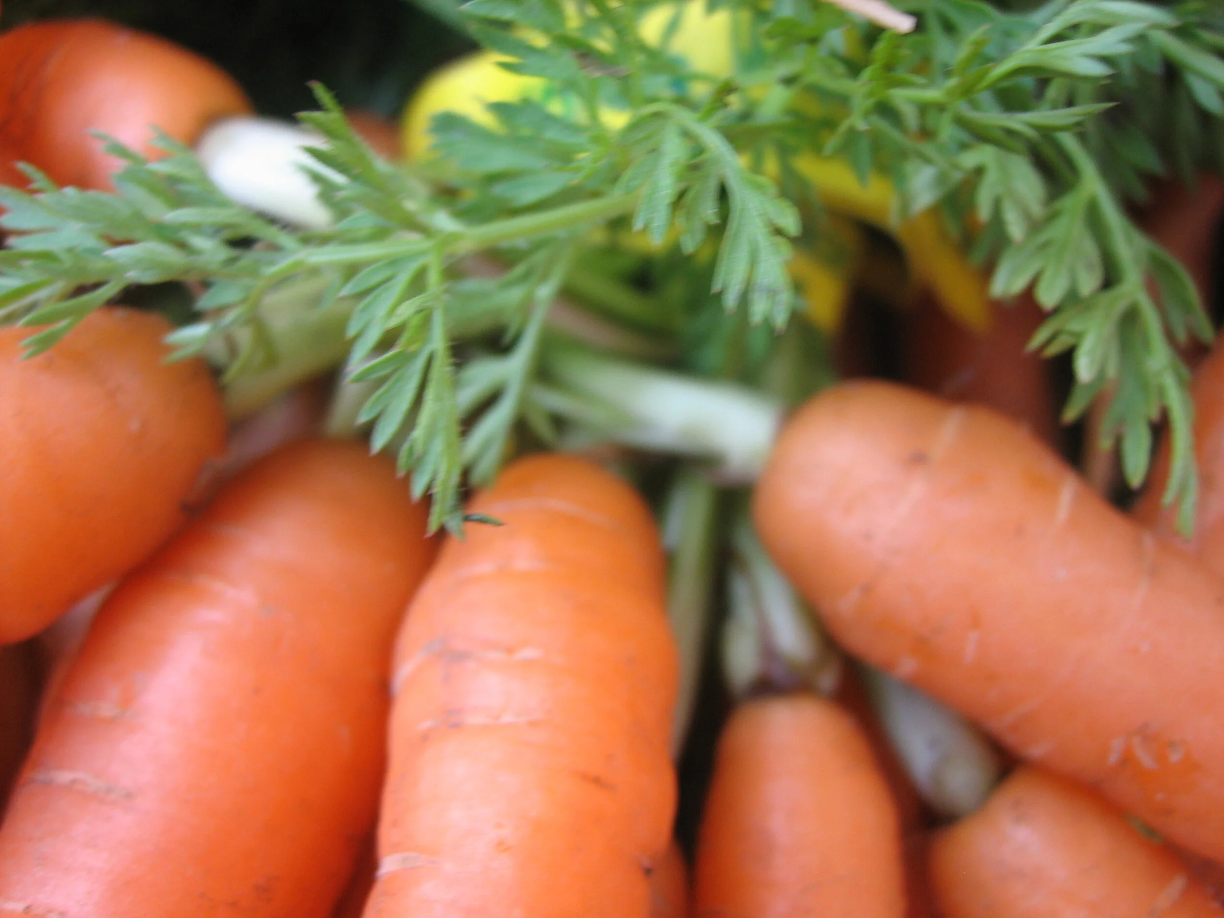 Celebrate Easter at the Market!!!