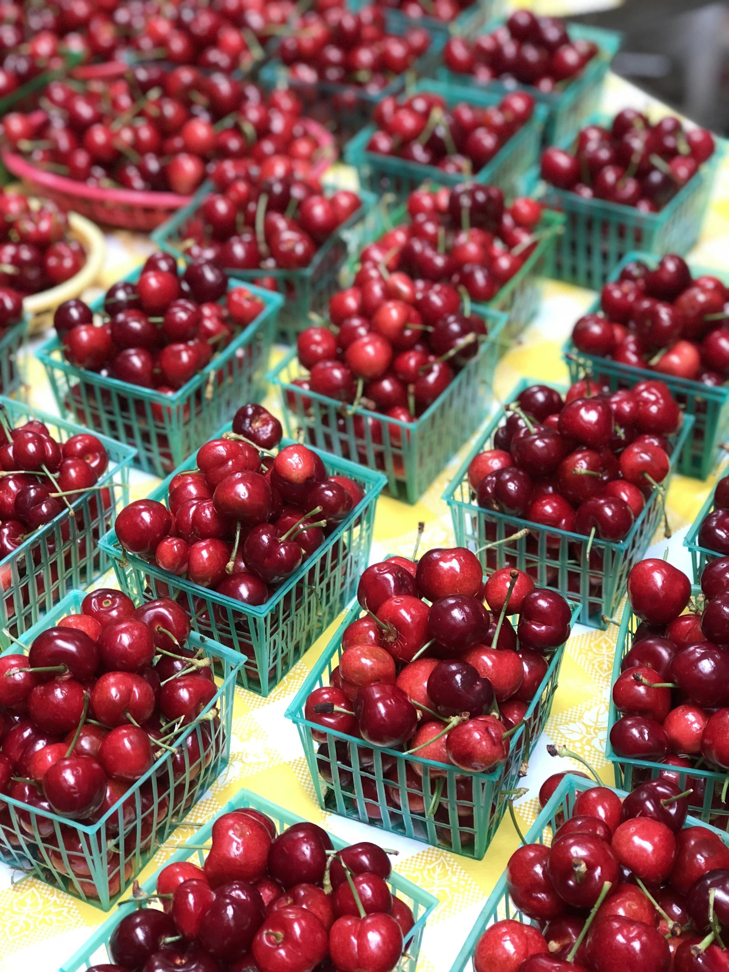 Rossmoor Farmers' Market Opening Day May 21st!