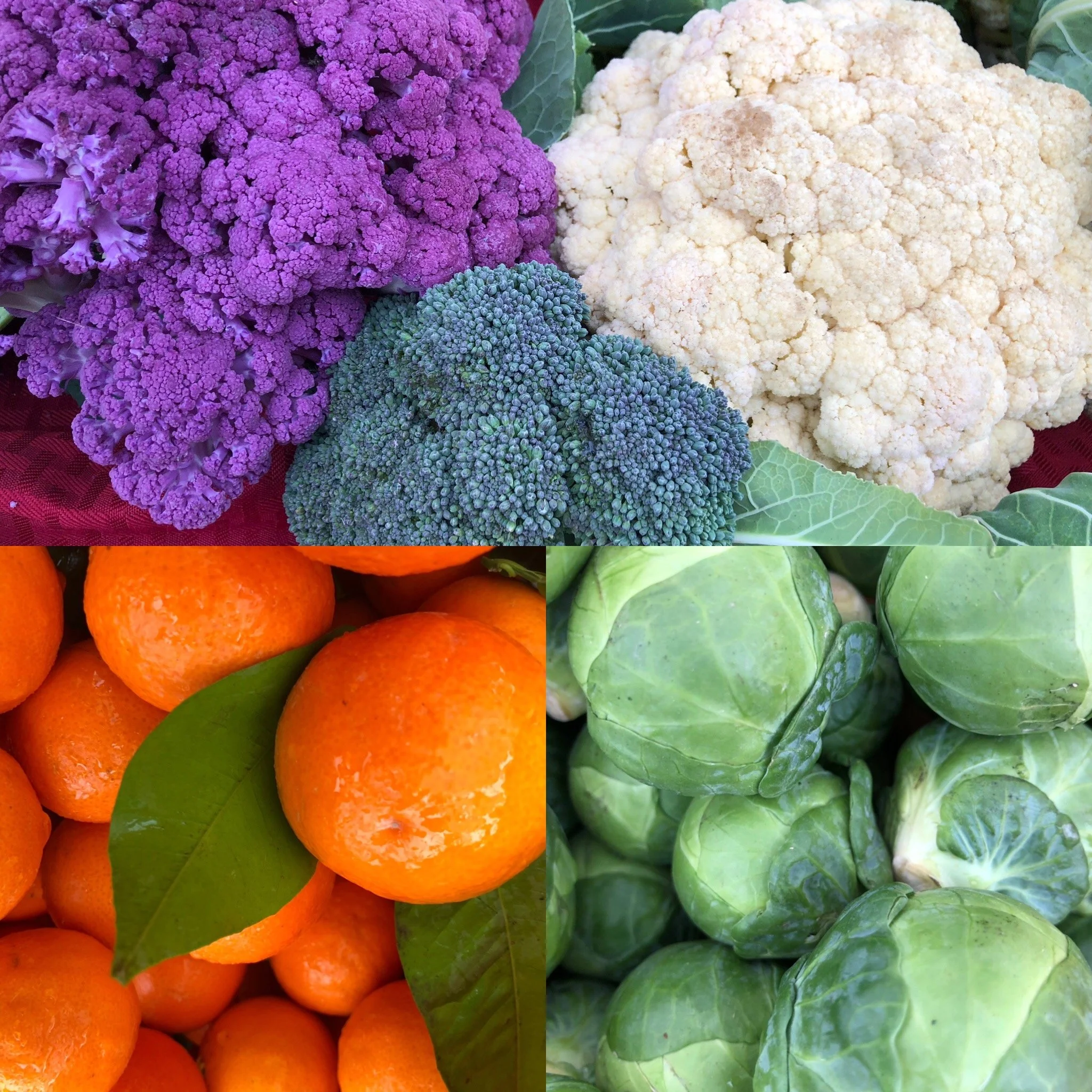 San Ramon Sunday Veggie Bingo 