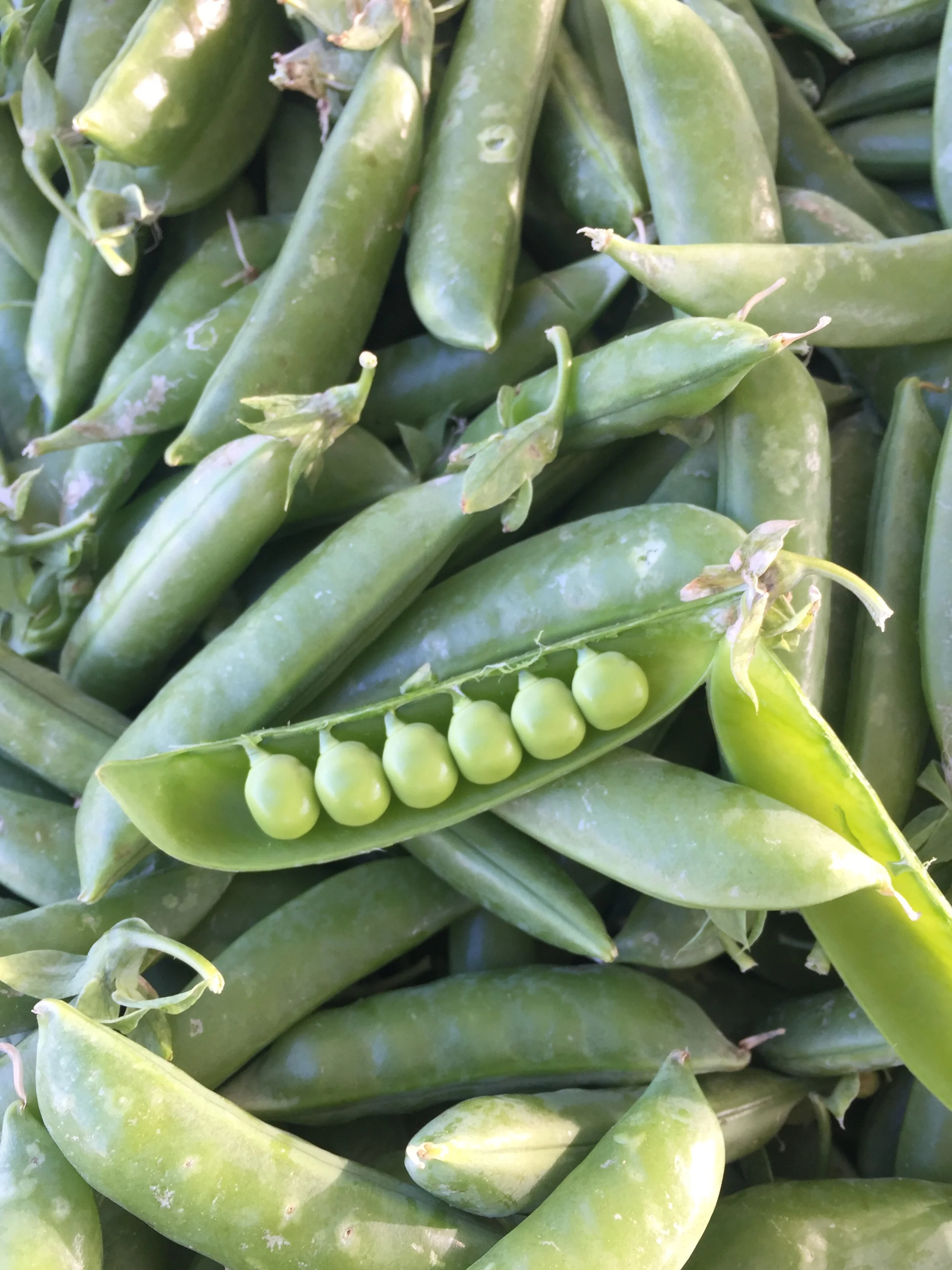 5-minute Snap Pea Veggie Platter