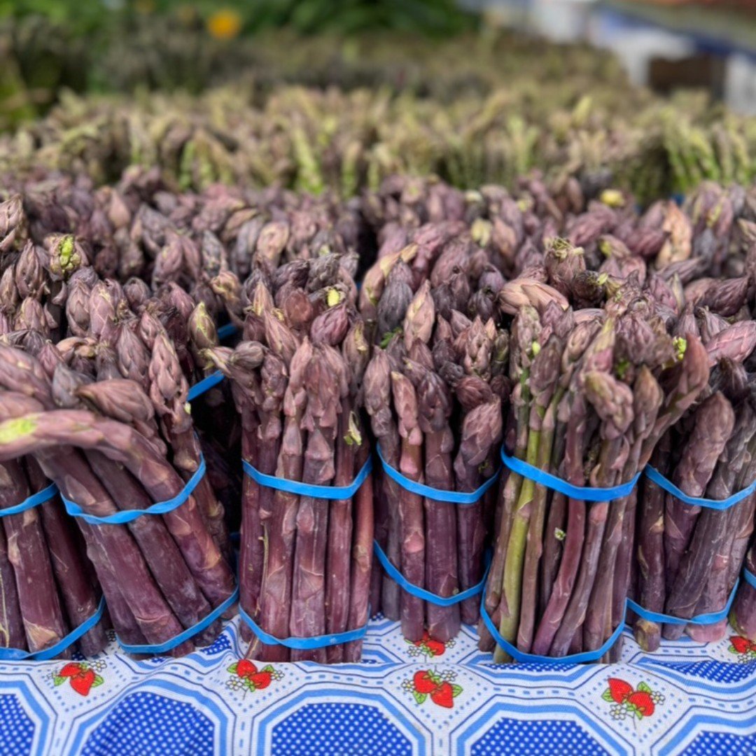 Taste the rainbow! Eating a variety of colorful fruits and vegetables adds a broad range of essential vitamins, minerals, and antioxidants to the daily diet. We are loving these purple asparagus from @swankfarms
Enjoy local seasonal produce, artisa