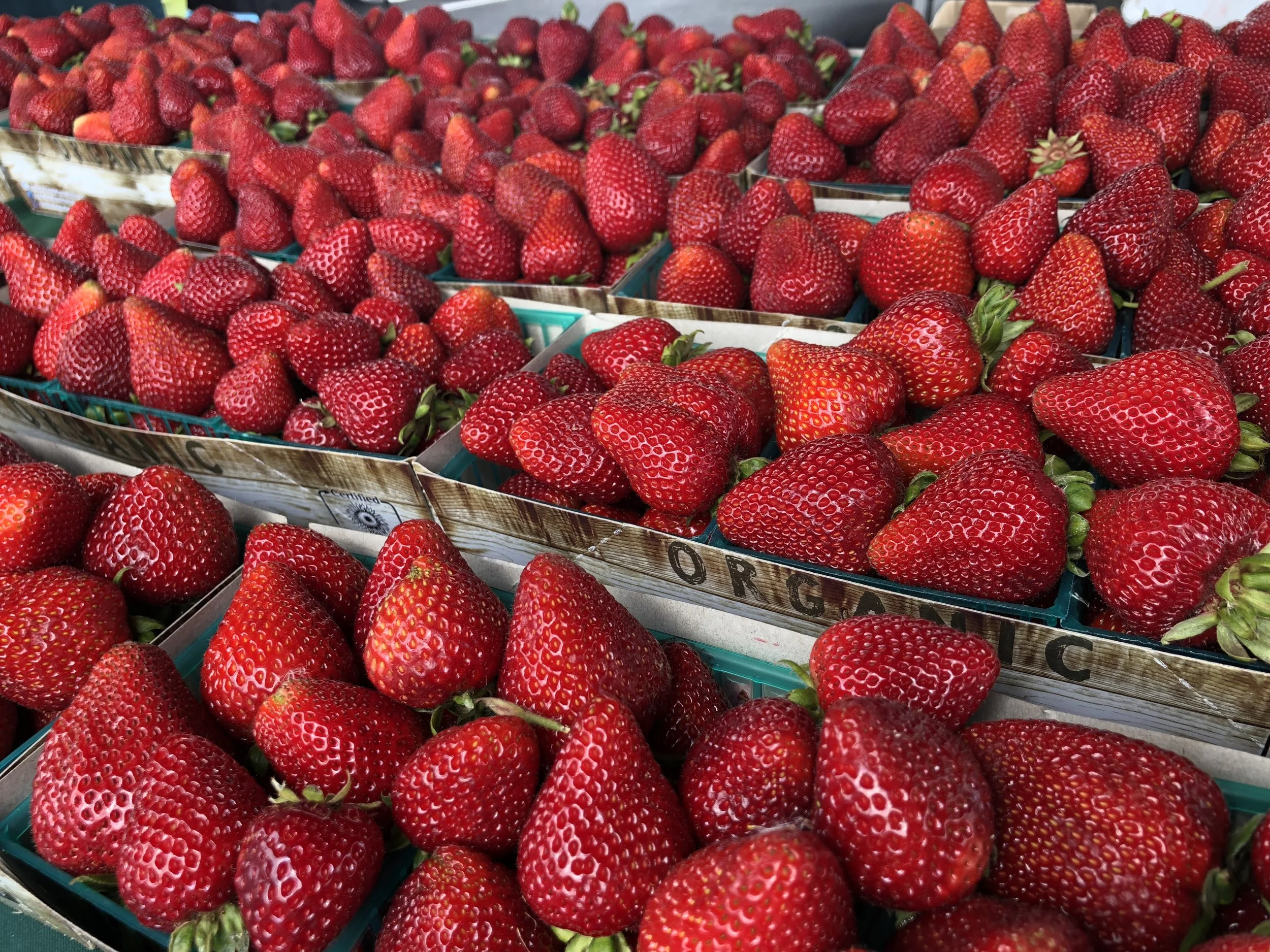 Mother's Day Strawberry Festival