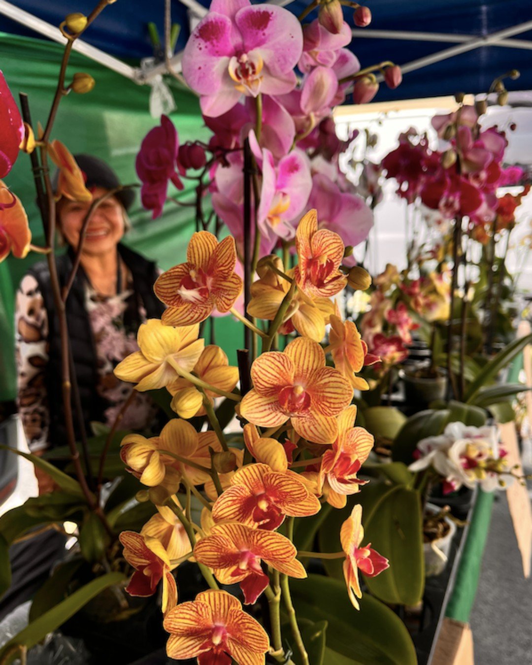 Treat the mothers in your life to fresh flowers from Kim's Orchids, Garcia's Begonias, and West Flowers at the Daly City Farmers' Market. Flowers have been shown boost mood, reduce stress and anxiety.
Enjoy to farmers' market Thursday and Saturday