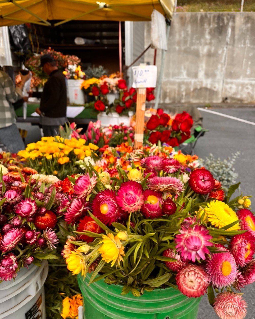 💝 Looking for the perfect gift for the Mother's Day? Treat mom to an outing to the farmers' market! We are having a Mother's Day Strawberry Festival at the market.
ACTIVITIES INCLUDE:
🎨 Special Mother's Day Kid's Craft project
🏆 Our very own farm