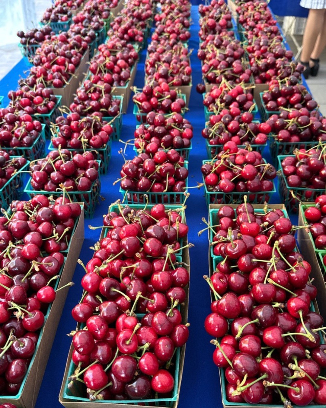 🍒 Cherry season is just getting started 🍒 Cherries mark the beginning of stone fruit season. In the next few weeks, we will see an increase in the amount available and different varieties.
Look for new spring crop arrivals at market every Thursd