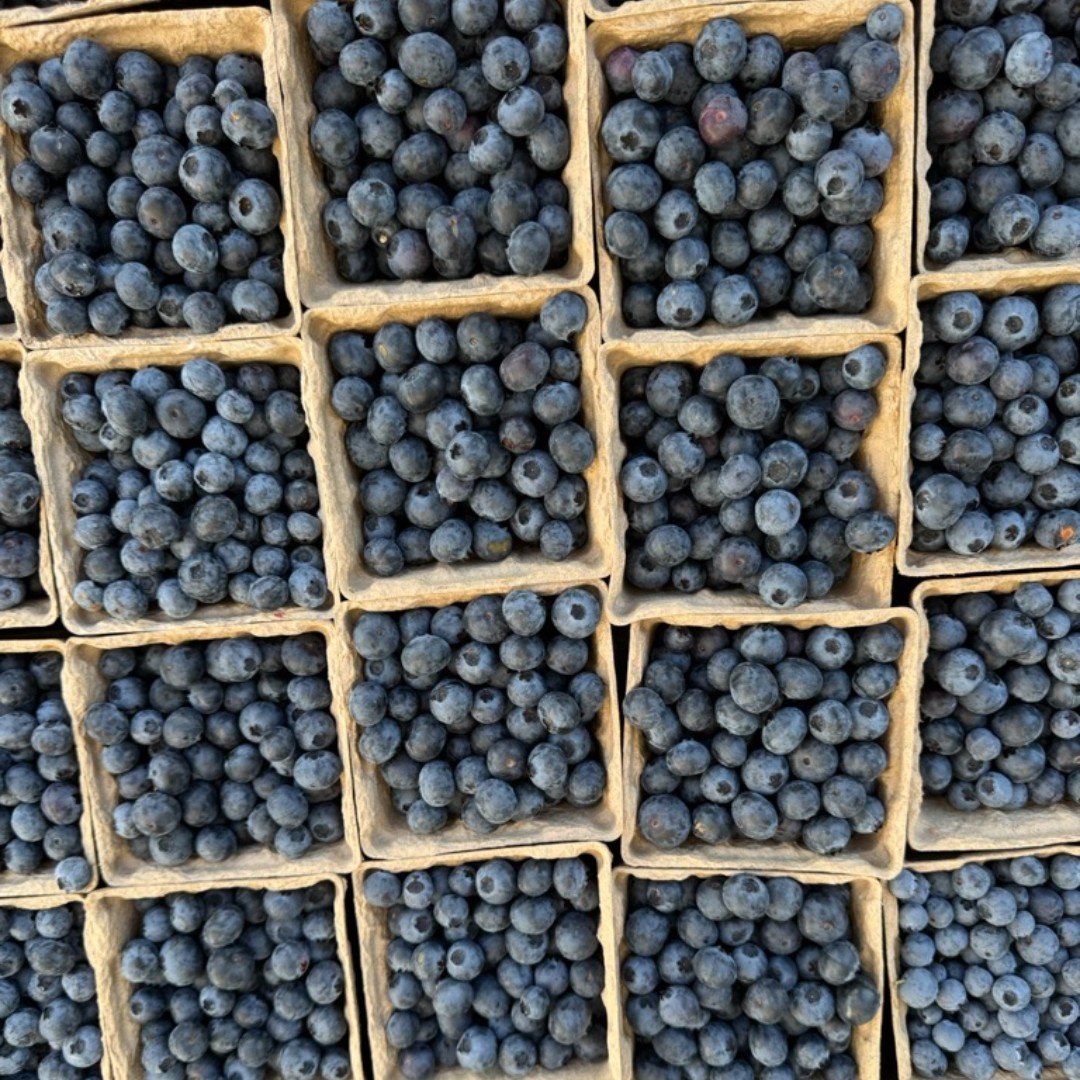 It's market day! Cherries, blueberries, peaches, nectarines, plouts and apricots are some of the delicious spring produce in season now! Enjoy the spring produce, artisan foods and more every Thursday & Saturday at the Daly City Farmers' Market