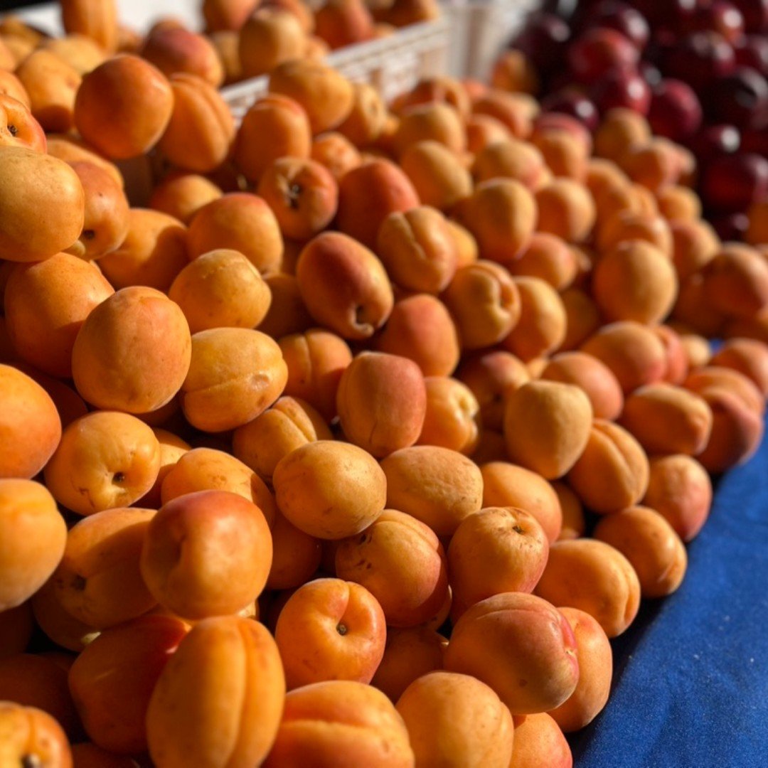 🍑 It's stone fruit season! 🍒 Enjoy freshly picked cherries, peaches , nectarines, and apricots at the market! What stone fruit do you look forward to the most?
Head out to market Saturday and enjoy local produce, artisan foods, pasture raised egg