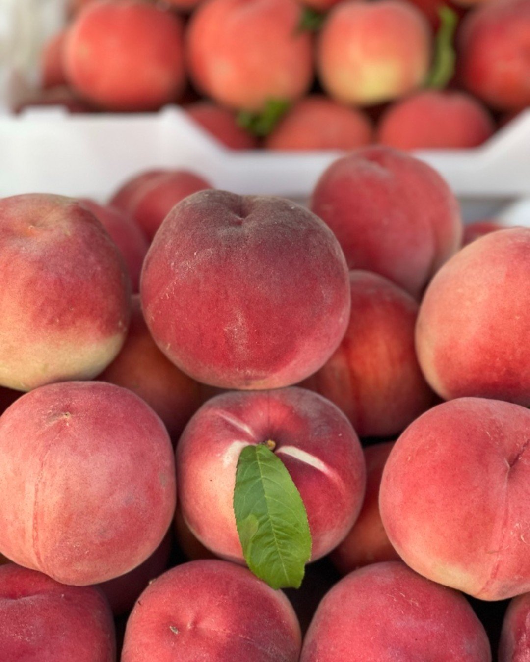 Did you know peaches and nectarines are in the Rosaceae (rose) family? No wonder they are so sweet! Both peaches and nectarines have white or yellow flesh varieties and can be used interchangeably in recipes.  Peaches have primarily sweet notes, whil