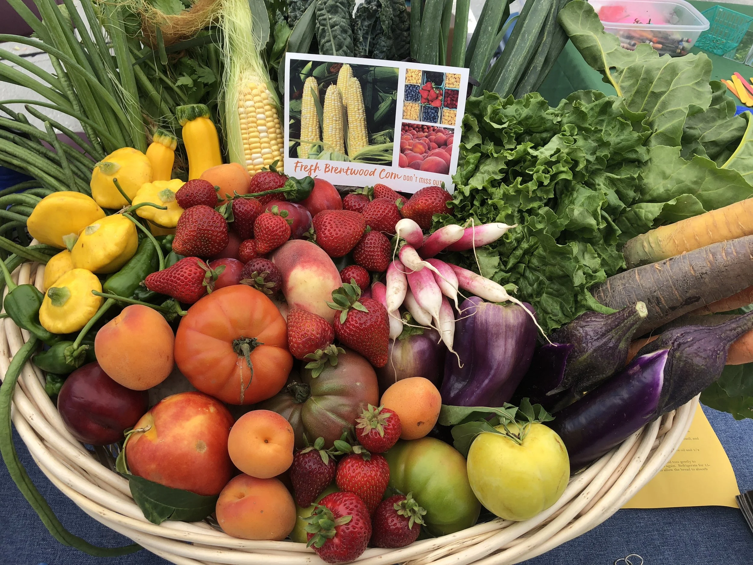 Opening Day Celebration!