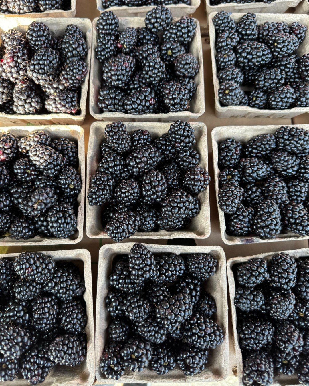 Drop your favorite summertime produce in the comments! These tasty blackberries are making the top of the list!
Daly City Farmers' Market has a beautiful selection of seasonal produce and artisan food availabe Thursdays and Saturdays from 9am-1pm i