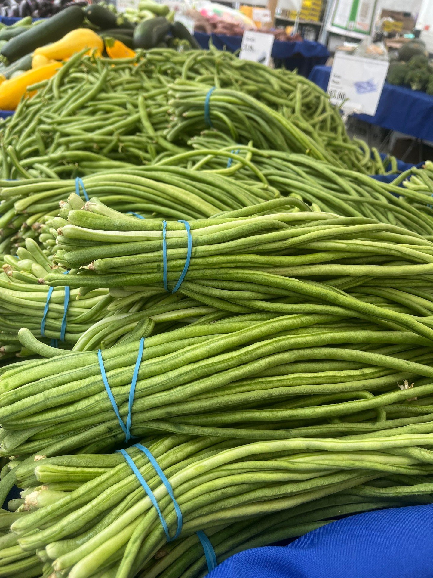 Thursdays at market are always a treat! With a wonderful selection of seasonal produce and Asian vegetables, this farmers’s market is a true destination for the freshest produce to make your meals shine!
Located in the Serramonte Center, th