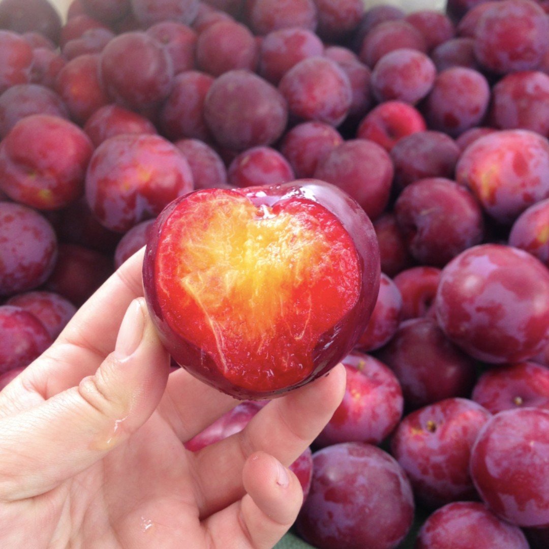 Crop spotlight: plouts. These fruits are hybrid cultivars, achieved through natural horticultural techniques like cross pollination to bring out the best characteristics of each fruit. These agricultural techniques have been practiced throughout time