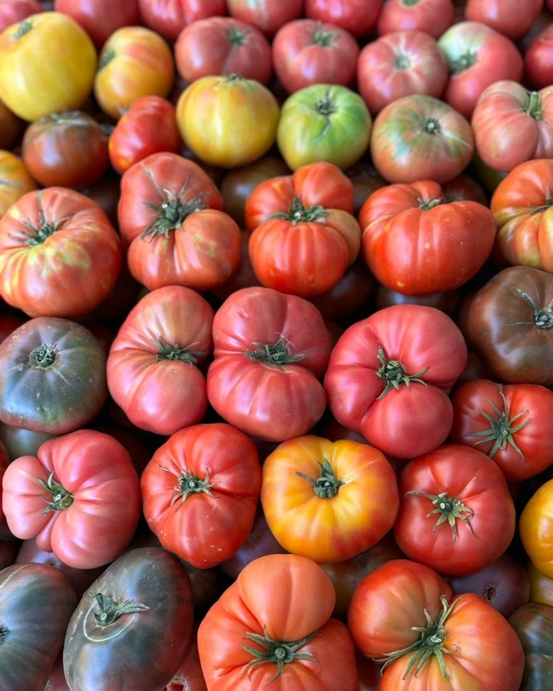 Heirloom tomato season is here! Theses tasty tomatoes bring a range of flavor to the table. Each variety has a slightly different flavor profile and suitable for different dishes. What heirloom variety is your favorite?
Enjoy the market every Th