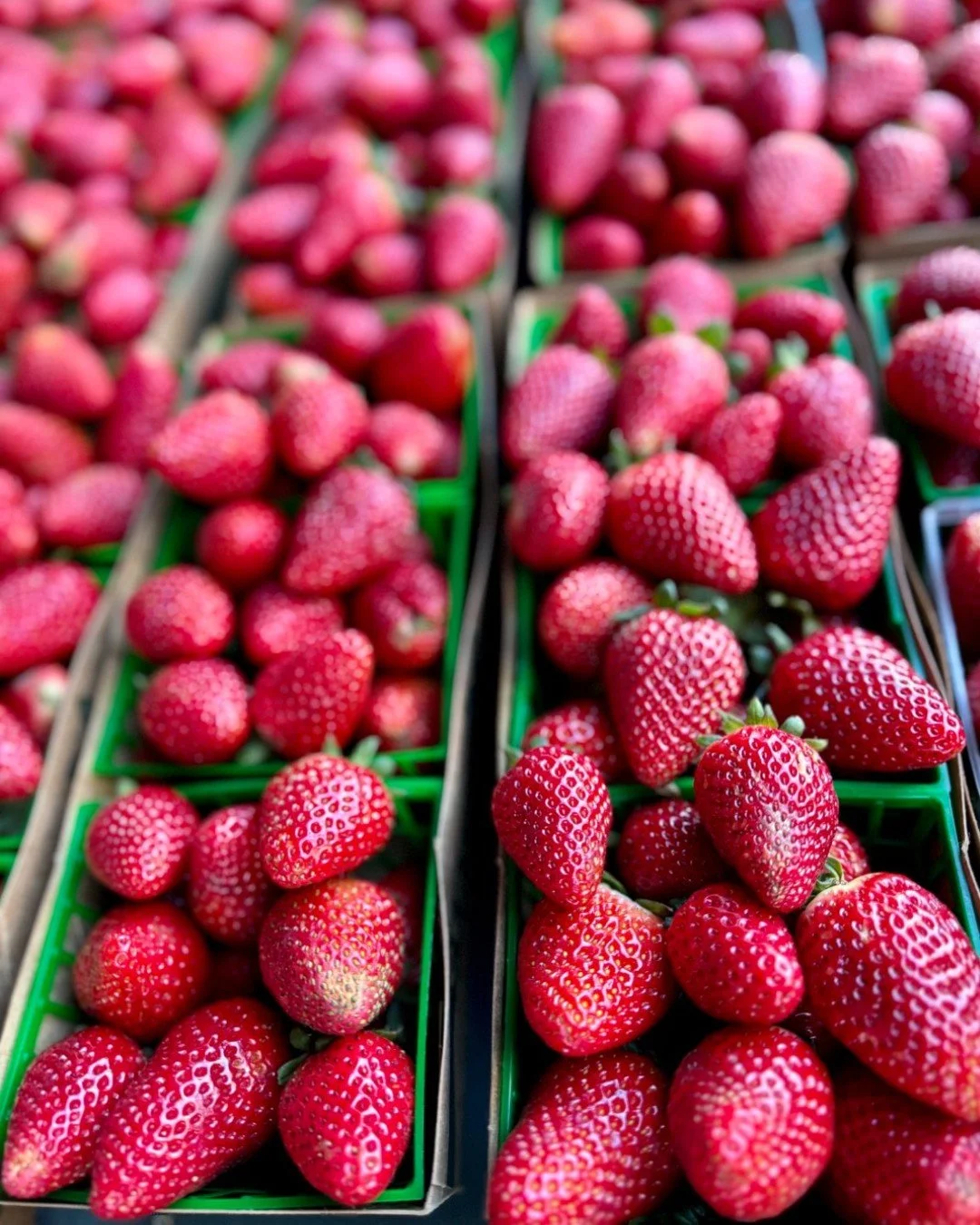 👨‍🌾We are celebrating National Farmers' Market Week!National Farmers' Market Week celebrates the vital role farmers' markets play in our food system and how small farms are essential to our community.
California Small Farm Facts:
🚜62% of Cali