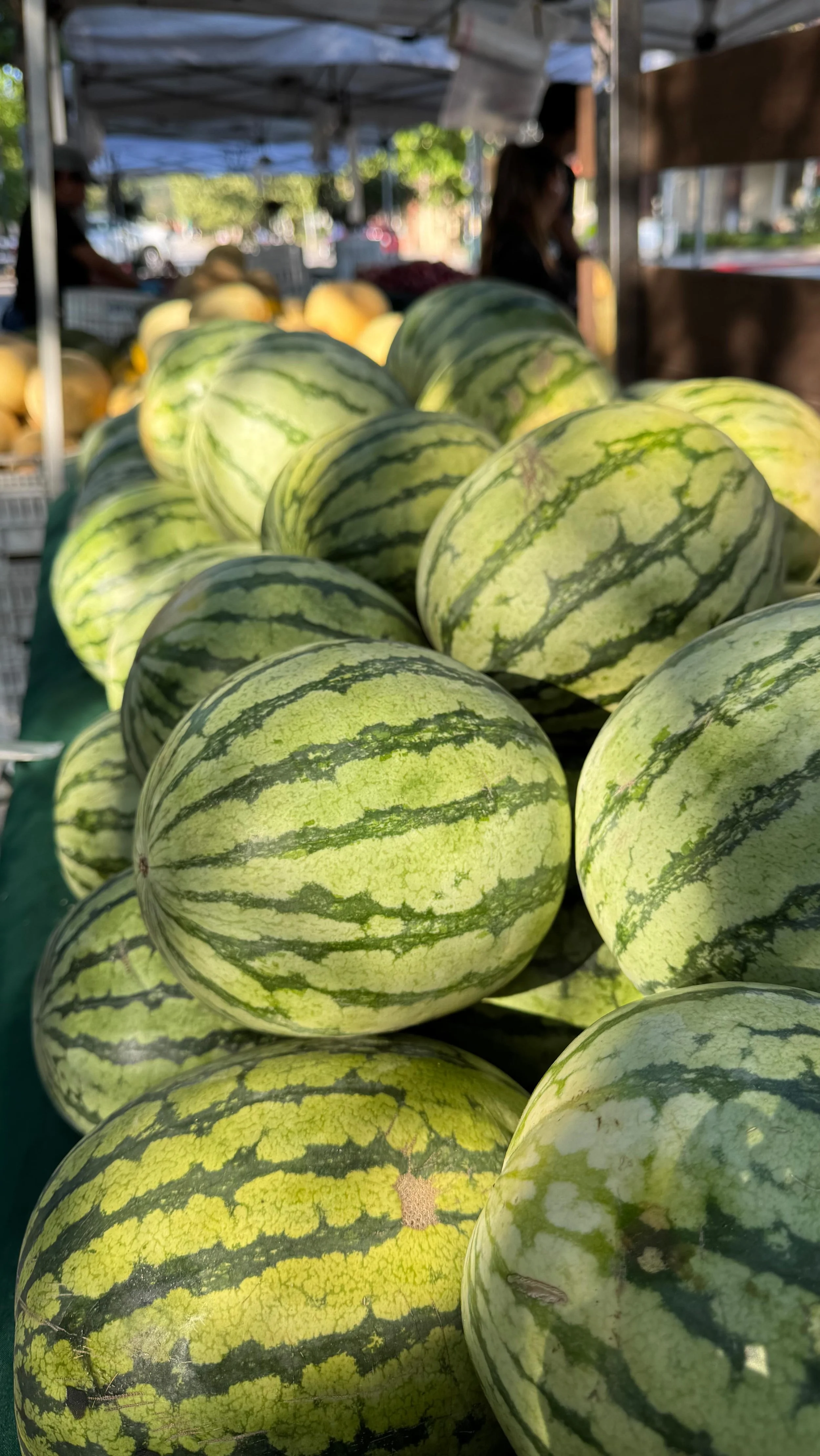 We are bringing the 🍉Watermelon Festival to market this Thursday from 9am-1pm! We had so much fun in Saturday we just had to bring it ti the Thursday market, too!
🪅Activities will include:
🍉Watermelon bowling: use a real watermelon to knock down