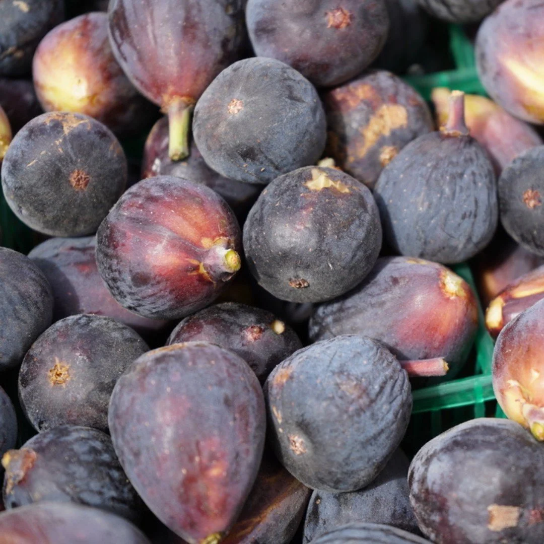 Figs are sweet sweet sweet! The season is fleeting and they are here one day and gone the next. They can be added to sweet or savory dishes. Figs are delicious roasted with a bit of honey and and brie, served warm on a cheese board.
Figs are amaz
