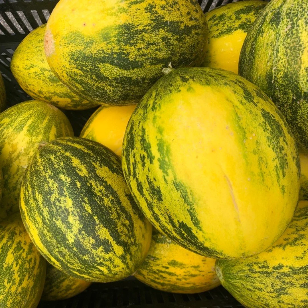 Stay cool this weekend with some cooling melon.  Make a delicious agua fresca with fresh melon (any will work), a little bit of water or ice cubes, and a spoonful of honey or maple syrup.  Blend and serve chilled!

Pick up something delicious at mark
