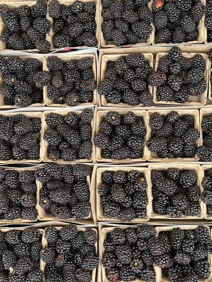 Summer harvest is still going strong and bringing peak flavors. Local producers can grow special varieties that are incredibly delicious! The perks of shopping at the farmers' market is finding unique varieties and produce the way nature intended!