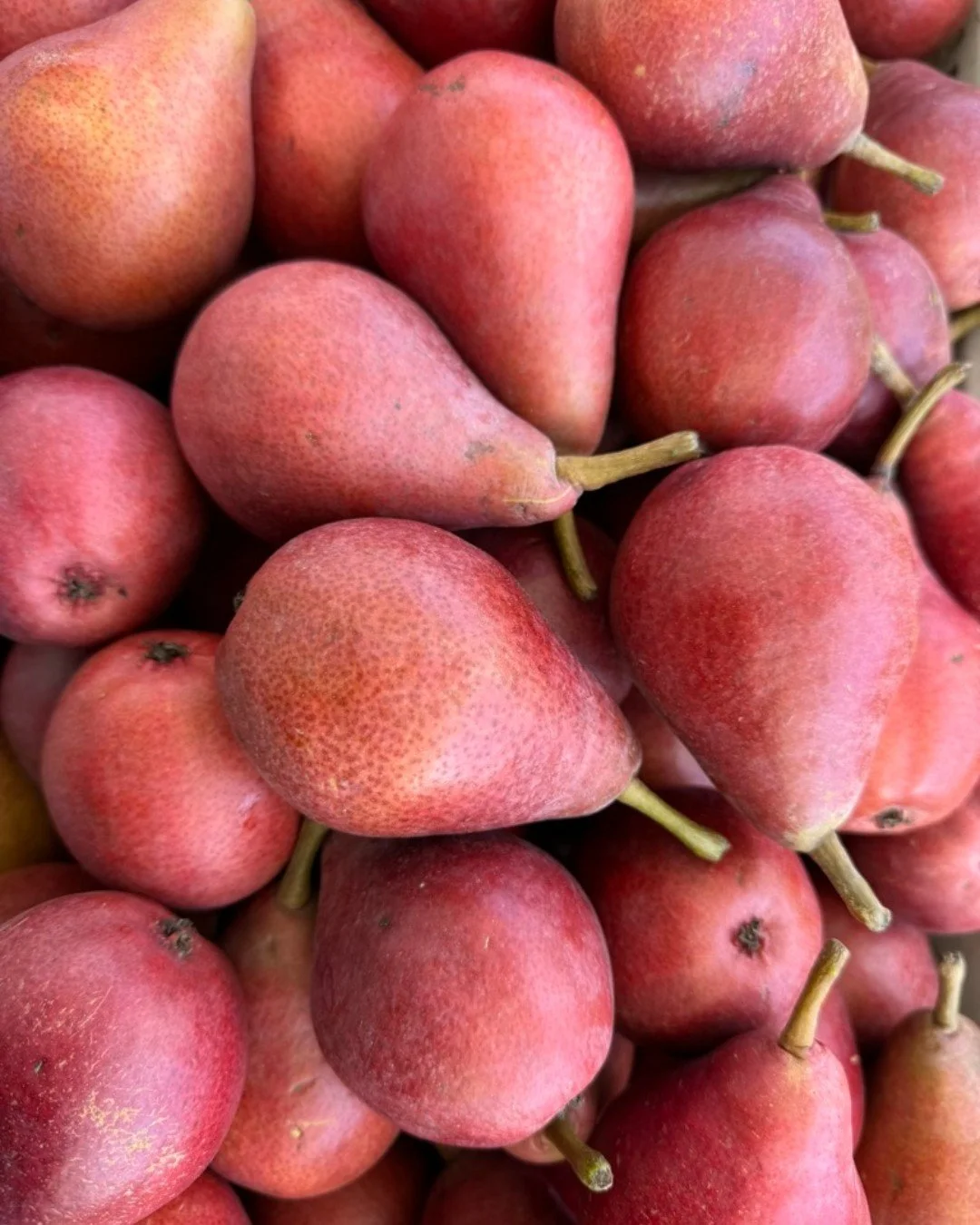 We are open rain or shine! The seasons are changing and we are starting to see the beginning of the rainy season! Last call for many stone fruit varieties, looking at another week or so. Check in with your vendors to see how much longer summer vari