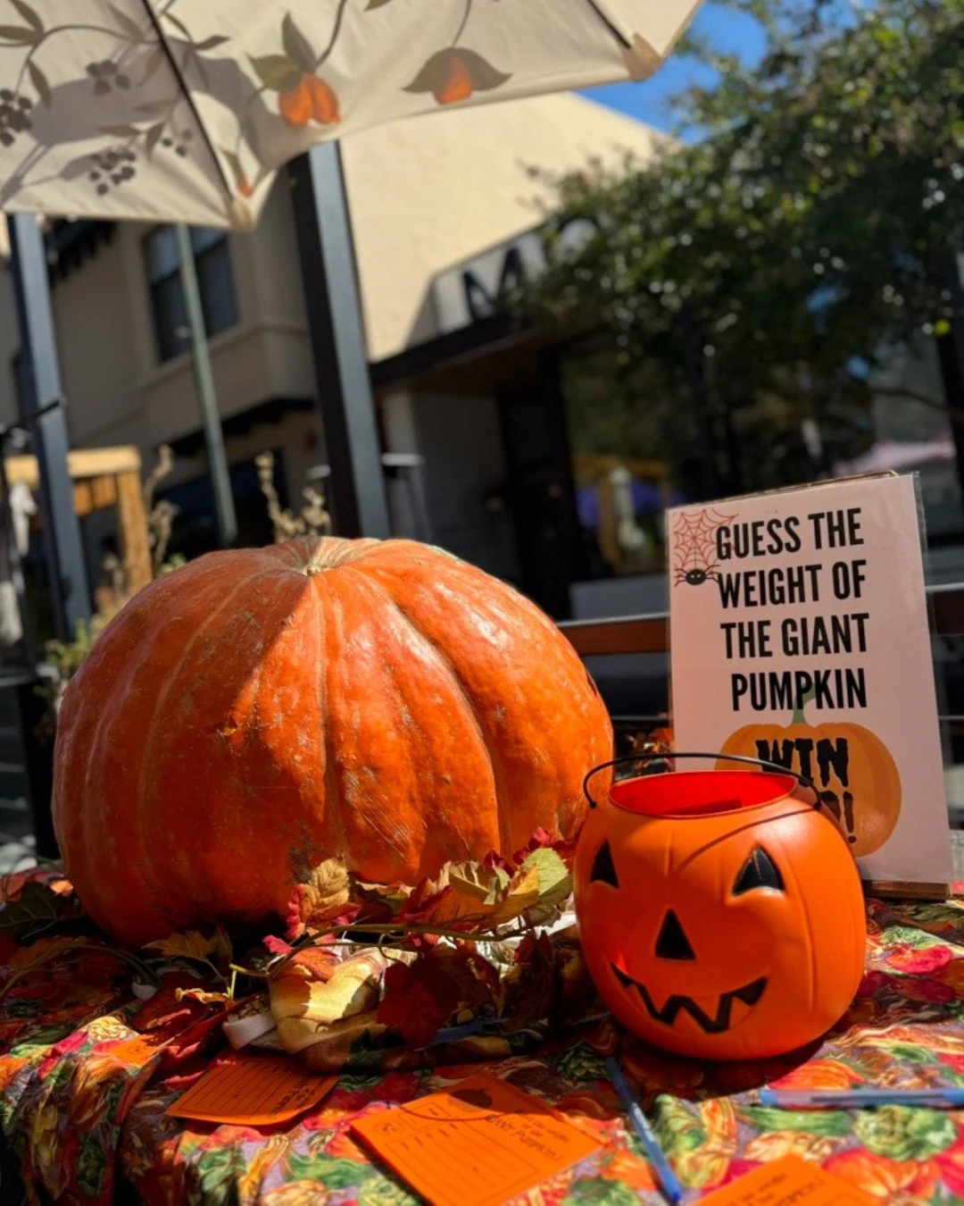 🎃 Guess the Weight of the Giant Pumpkin is returning to markets throughout October!
👉Find the Giant Pumpkin table at market and guess of the weight of the Giant Pumpkin for a chance to win a cash prize.
🥕Support local farms and stock up on an a