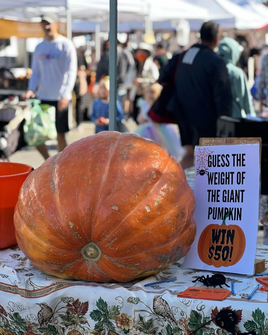 🎃 Guess the Weight of the Giant Pumpkin is returning to markets throughout October!
👉Find the Giant Pumpkin table at market and guess of the weight of the Giant Pumpkin for a chance to win a cash prize.
🥕Support local farms and stock up on an a