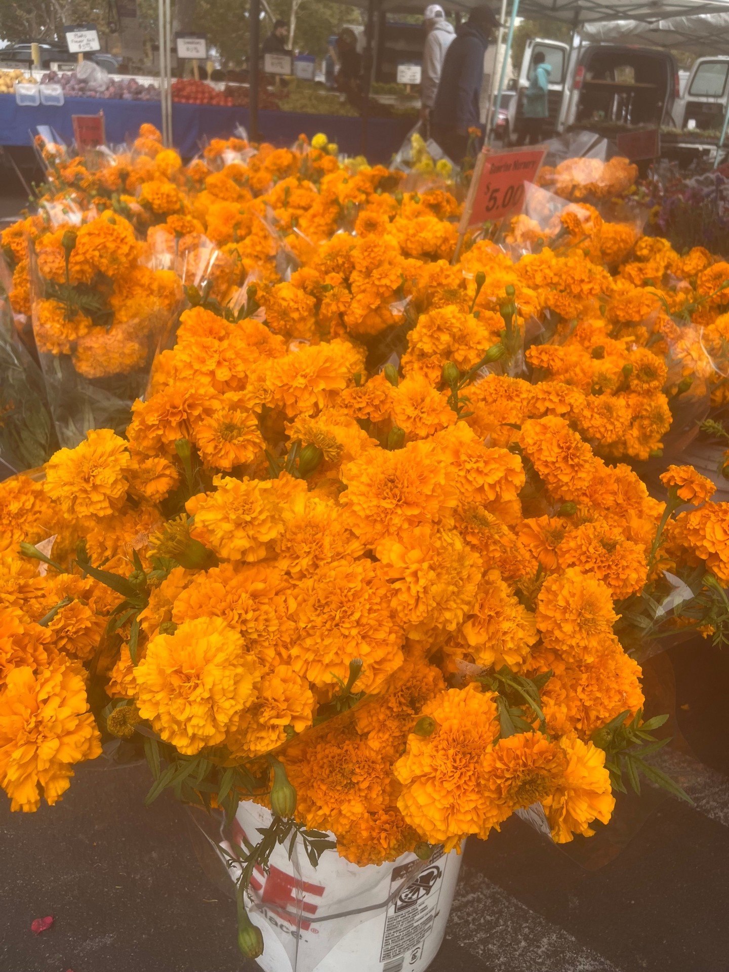 Fresh cut flowers and beautiful marigolds are abundant at market today!  Bring a bunch home for Dia de los Muetros.