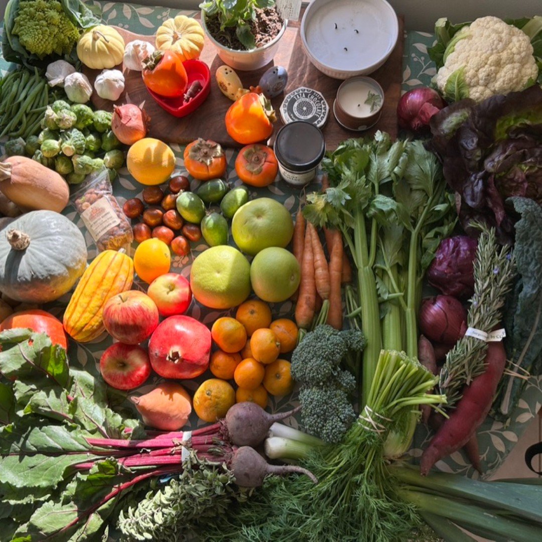 With Thanksgiving approaching, now's a perfect time starting to map out what's on the menu for this years gathering! Shelf stable produce like potatoes, yams, and winter squash can be purchased in advance. Some side dishes like mashed potatoes, gravy