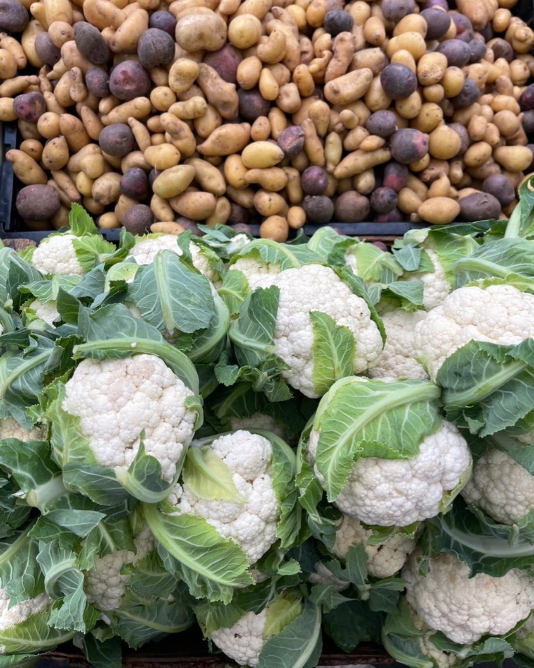 Who else is daydreaming of Thanksgiving foods!  Give us mashed potatoes!  Give us sweet potatoes! Give us green bean casserole!  Give us mushroom gravy!  Give us roasted carrots! Give us fresh baked pies! (You get the idea 🤣)

For a twist on classic