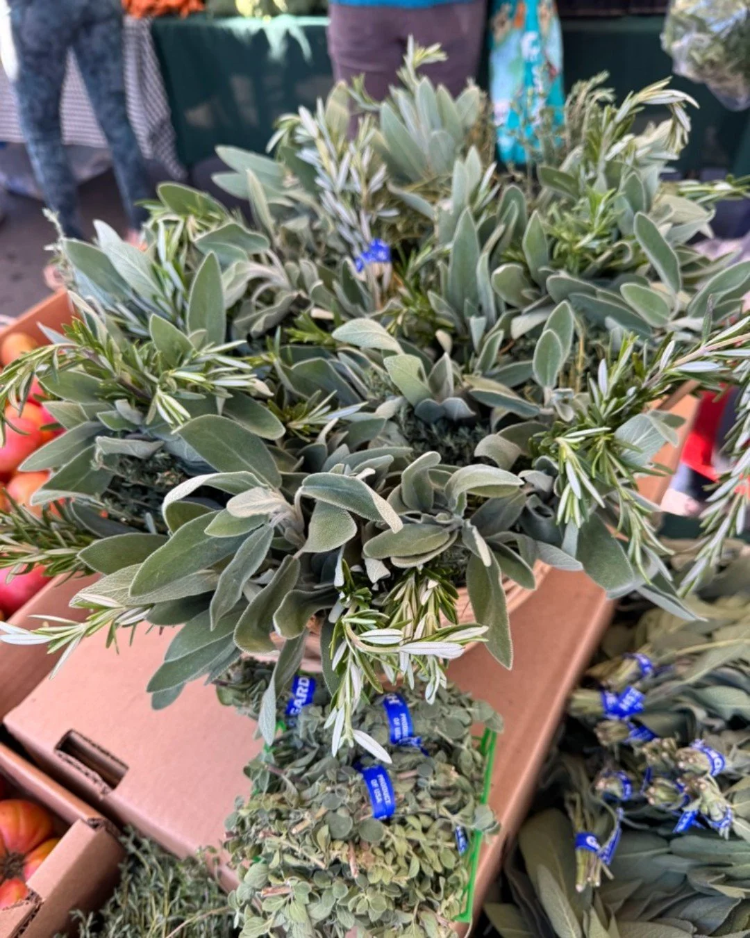 The Special Wednesday Market is happening today!  Head to the Daly City Farmers' market today from 9am-1pm!  A wide variety of fresh seasonal produce and delicious artisan food will be here while supplies last. 

Reminder: Market will be closed this 