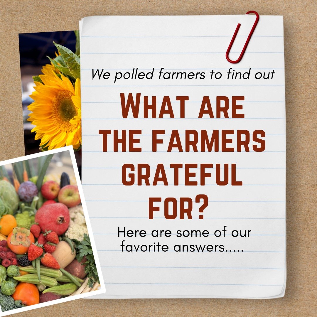 👂🧡 We polled our farmers and found out gratitude looks like 4am coffee stops, kids obsessed with cauliflower, surprise treats from customers, teens on tiktok, and customers who brave the rain! The farmers' market community is incredibly special and