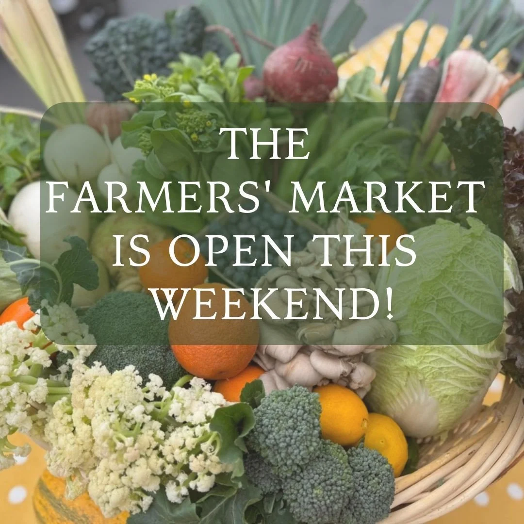 The farmers' market is open this Sunday from 9am-1pm!  After indulging in rich food and leftovers, hit the reset button and keep meals light and simple. We're ready for some raw leafy greens and a meal plan that requires very little thinking.

Try ma