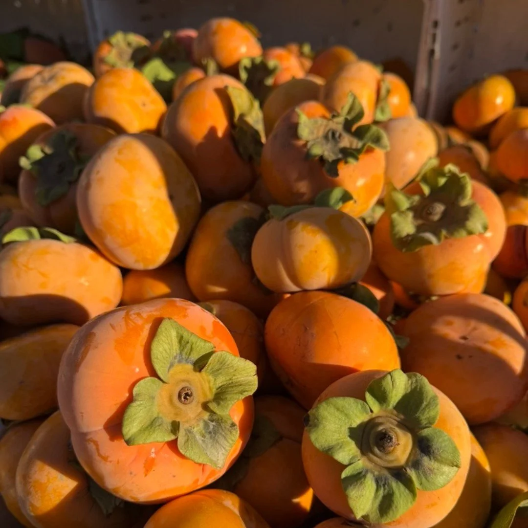 The farmers' market is closed today and will reopen this Thursday December 4th from 9am-1pm.  See you next week!
.
.
#dalycityfarmersmarket