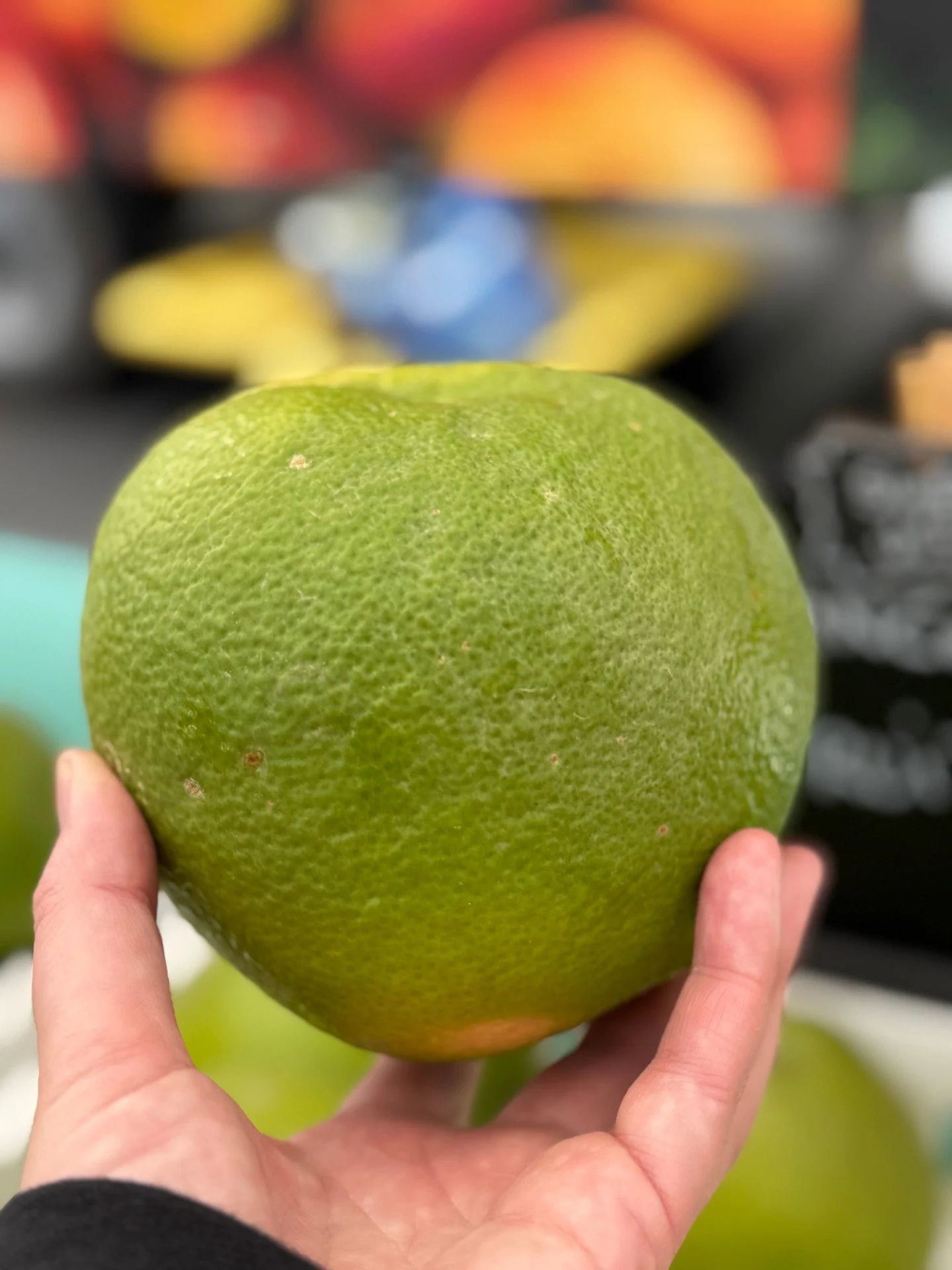 Oro Blanco is in season!  This grapefruit is a fan favorite.  They are more sweet and less bitter than other varieties, making them a preferred choice with many. 

The rind is thick and wonderful when making candied grapefruit peels.