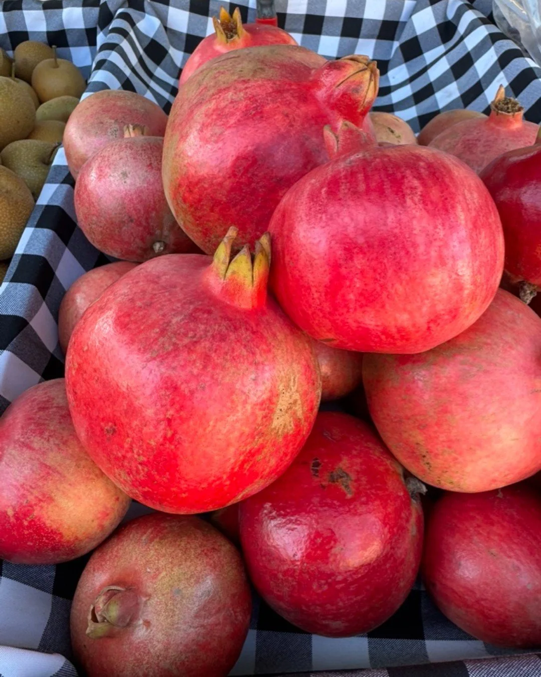 Time to stock up on seasonal produce and more at market today from 9am to 1pm!  Treat your friends and family to something delicious this holiday season!  Today is a great time to come out to market. 

🍊The market will be closed from Saturday 12/20 